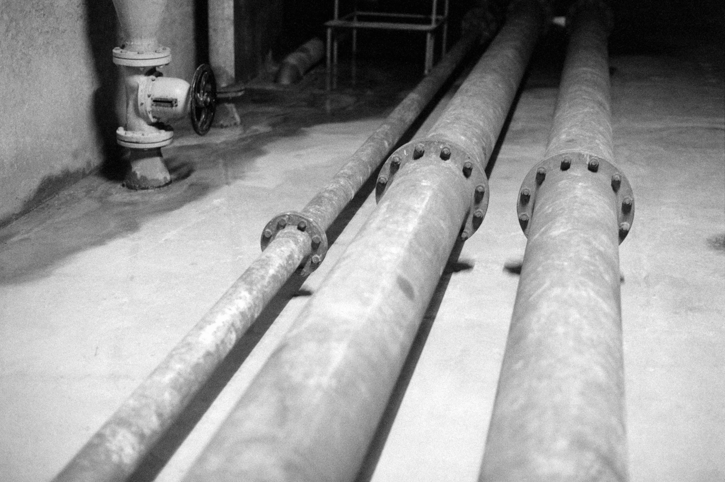 AHP F1994 11 007 sc250521 img05 NLP